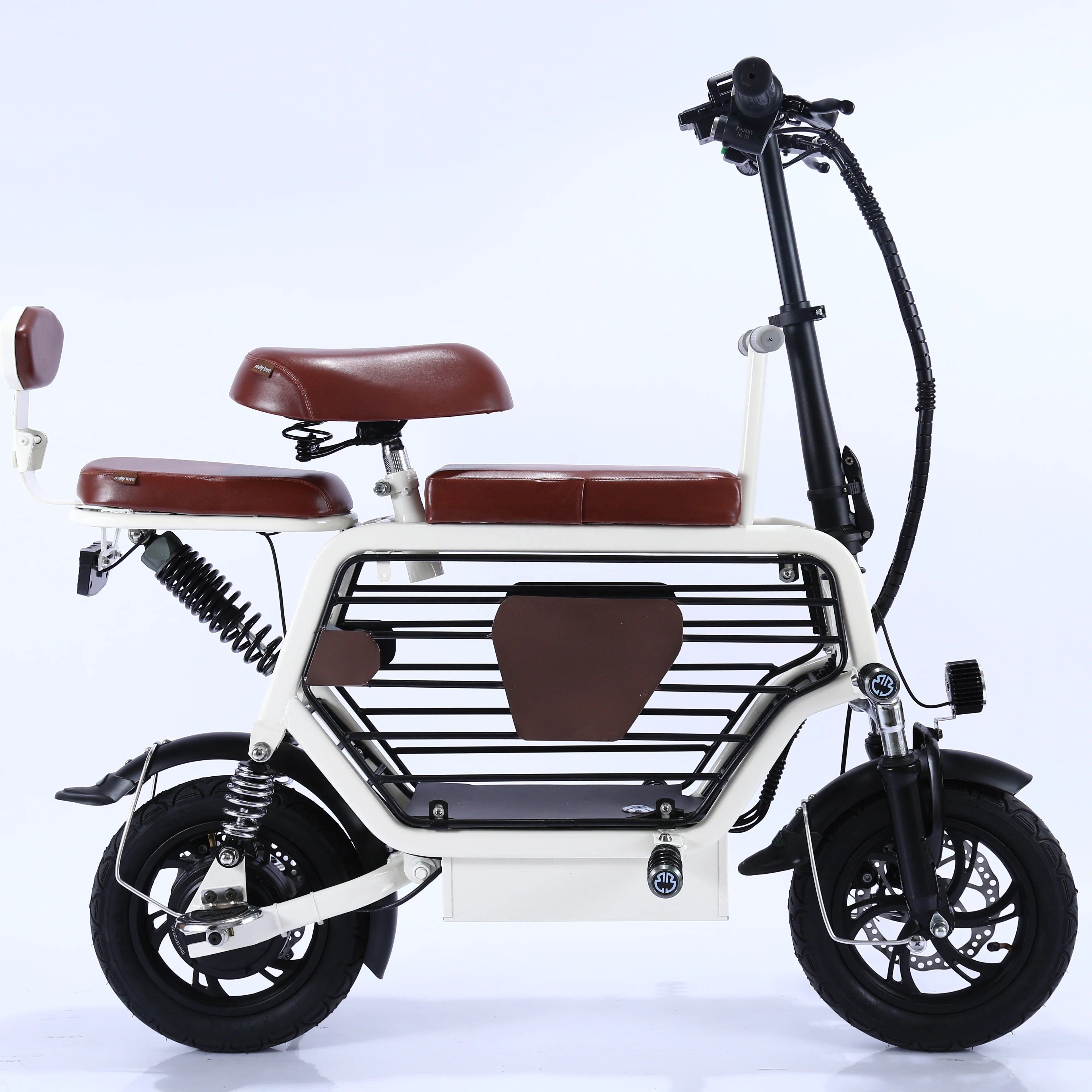 Aigle Alloy Frame Electric Bike with Dual Battery for Carry Children Passenger Two Wheel Disc Brake Cargo Pet Bikes for Sale 48V